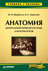 Анатомия центральной нервной системы  для психологов: Учебное пособие. Щербатых